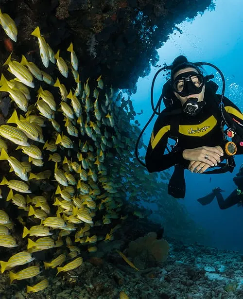 Diver in Roatán