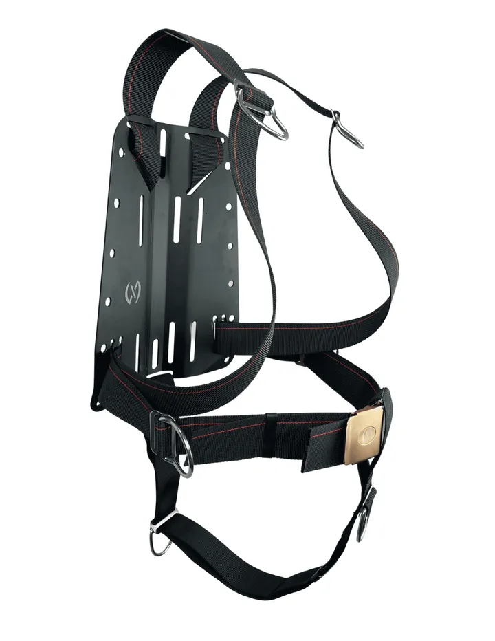 NEX Leatherback backplate-and-wing BCD system — photo 2