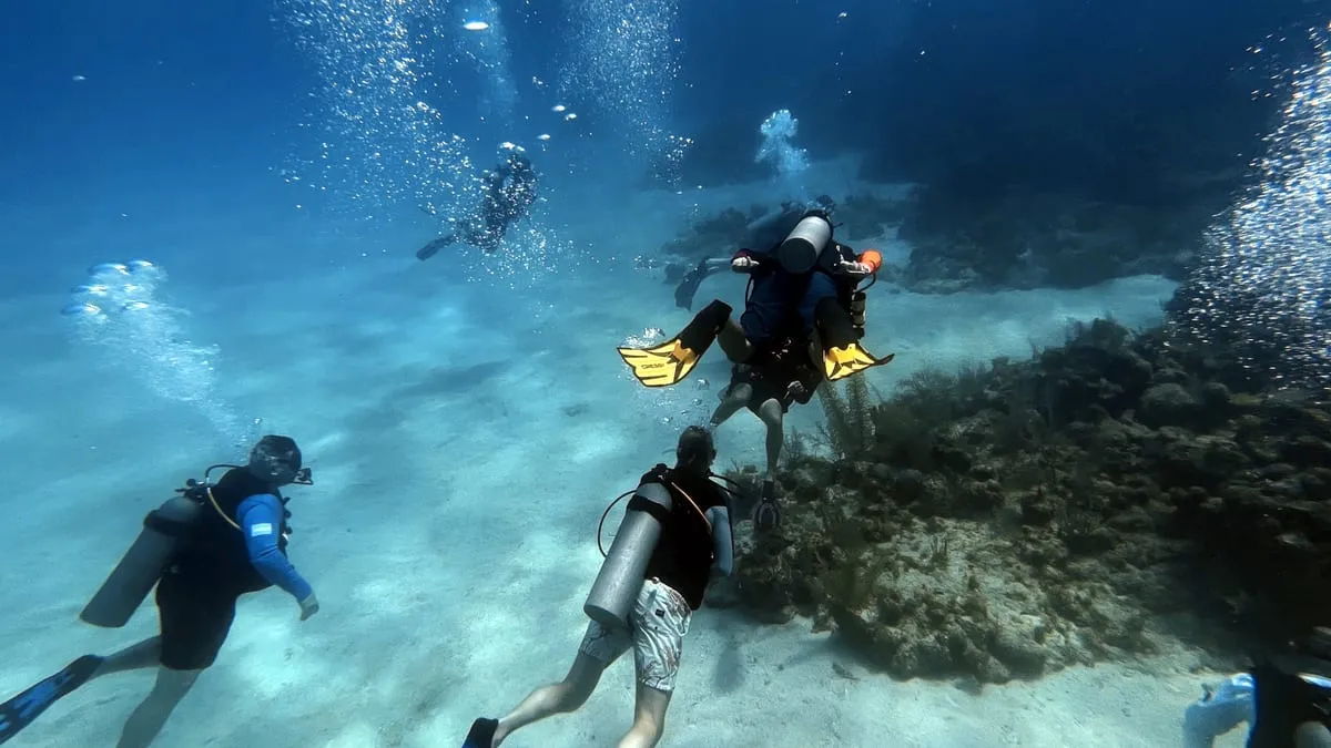 Sea Hunt Divers — photo 3